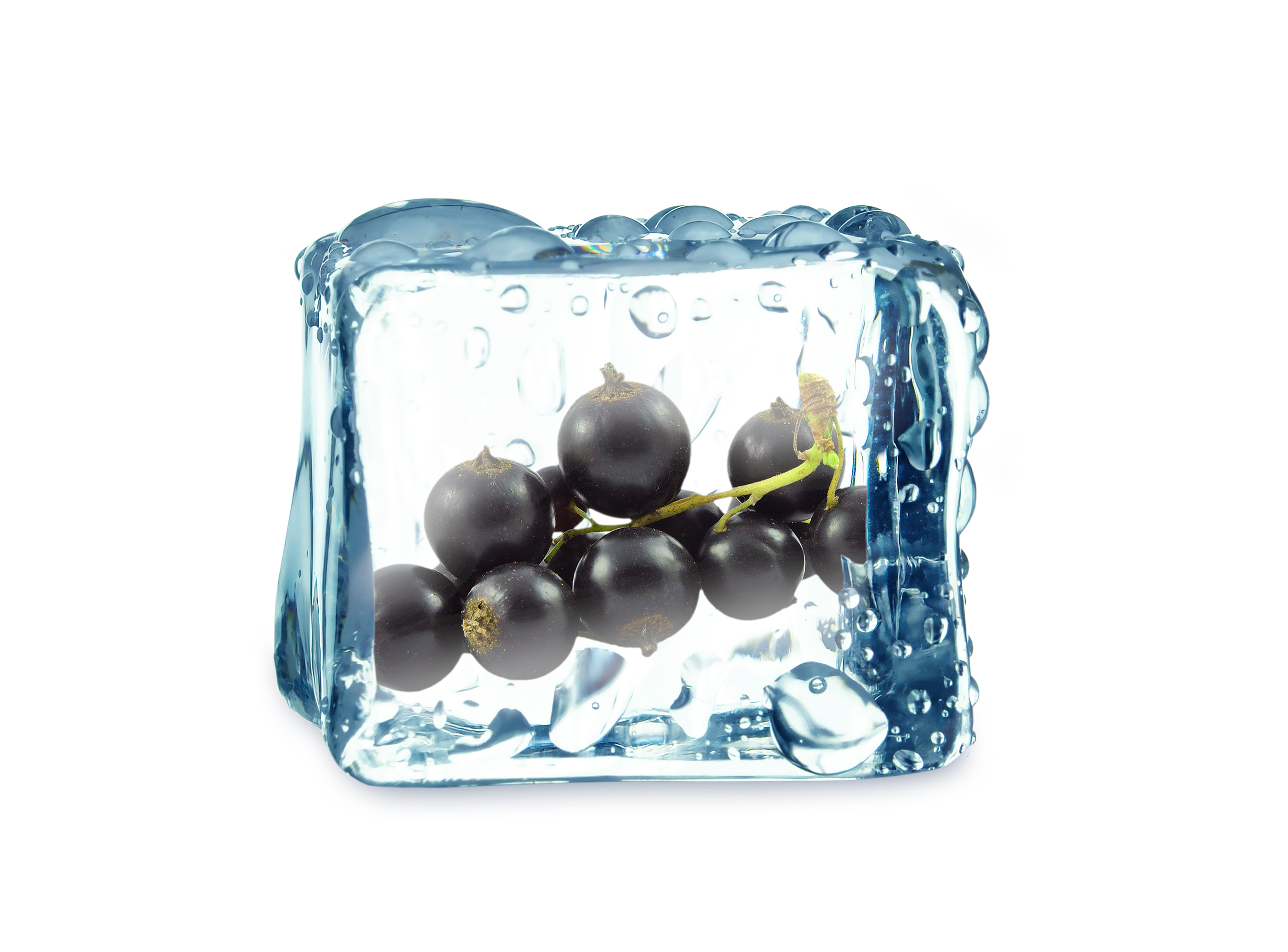 shutterstock 281408522